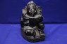 Ardent Reader Ganesha