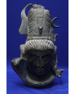 Shiva's Head