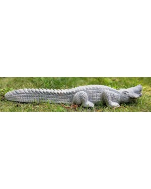 Crocodile Big