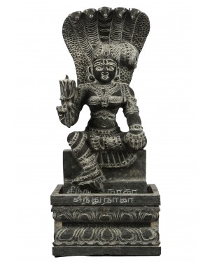 Sindhu Naga Kanni with Peedam