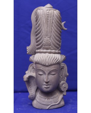 Shiva's Head